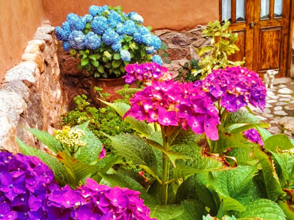 Hotel Lizzy Wasi Urubamba Exterior foto